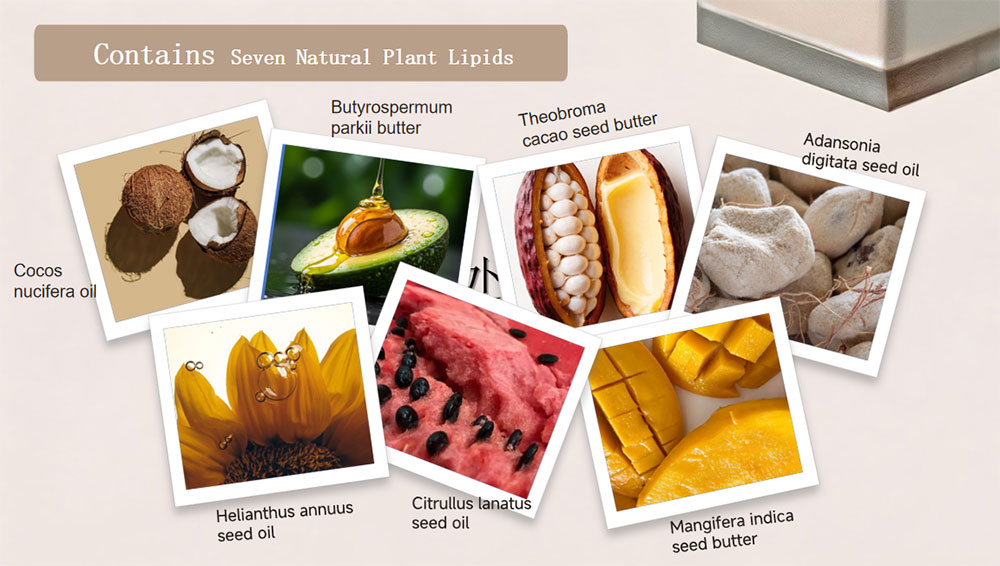 ส่วนประกอบสำคัญของบอดี้มิลค์ body milk key ingredients