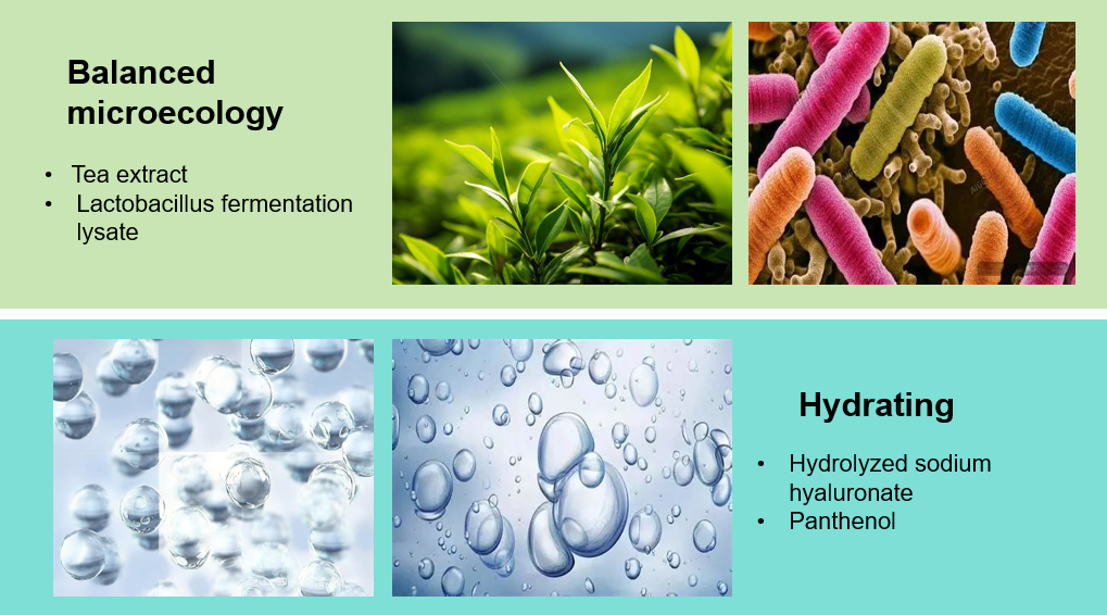 Conditioner Manufacturer